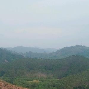 明德山水头像