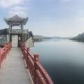 yuanwenyan头像