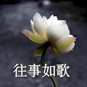 小何聊日常头像