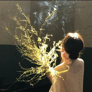 瑾淮头像