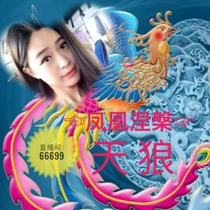 凤凰涅槃666天狼头像