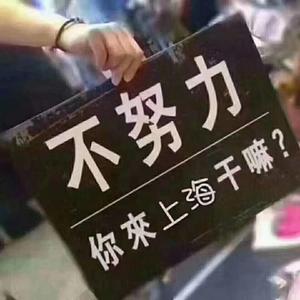 金氏珠宝头像