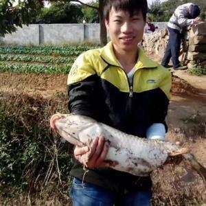 沉默200280753头像