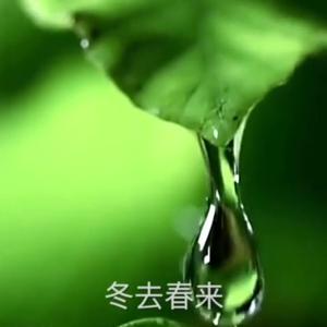 小静一向阳而生头像