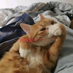故事合集冷知识头像