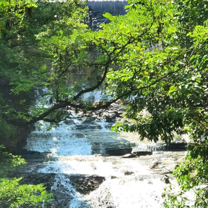 洹水南岸一老翁头像