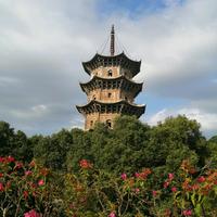 雲龍飛鹰2h5W头像