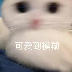 穷小奇啊头像
