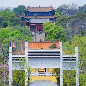 念念彭城头像