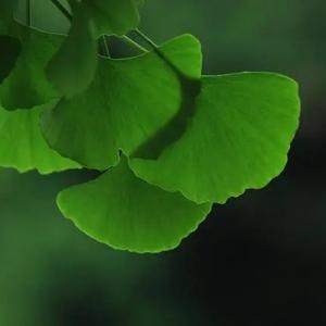 欣悦头像