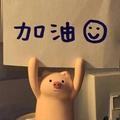 南极星233头像
