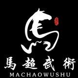 西安马超武术运动中心头像