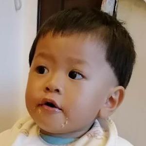 踩到老鼠的猫头像