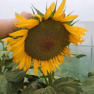 用户1322765482650头像