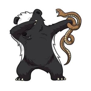 老支不是老师头像