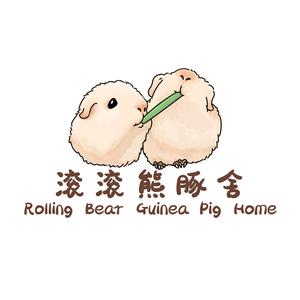 滚滚熊豚舍头像