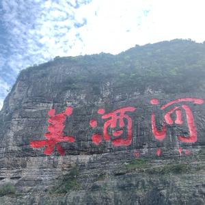 藏酒小百科头像