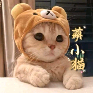 萌小猫粮油店头像