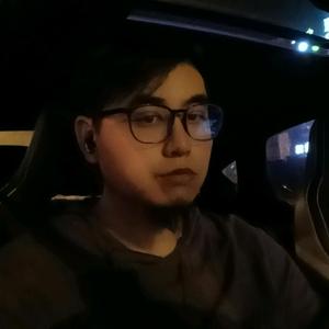 佛系老高（已老实）头像