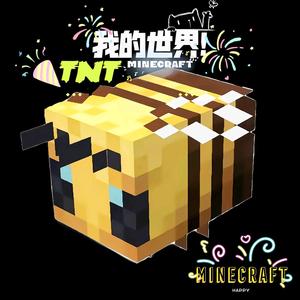 我的世界TNT1S9n头像