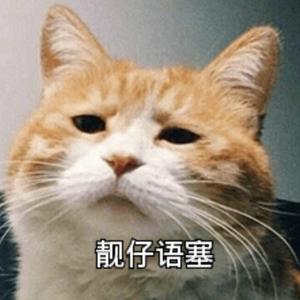直男六R头像