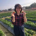 燕子9m7a头像