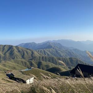 A辛勤的园丁头像