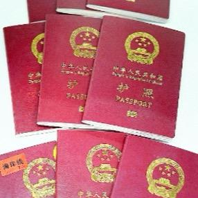 山东烟薯棚基地头像