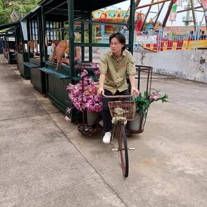 落叶的季节头像