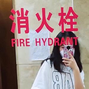 小代同学鸭头像