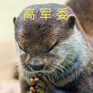 宇树科技之忠实粉丝头像