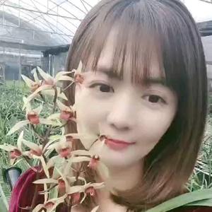 龙宝兰苑小刘3头像
