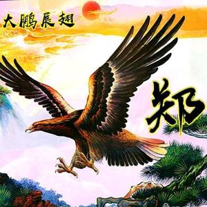 郑哥影视头像