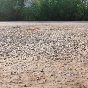 暖宝一路路头像