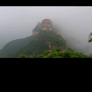 张记北京烤鸭头像