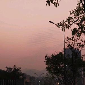 TS夏奶奶头像