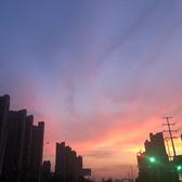 璞哥哥呀头像