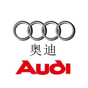 长春大众奥迪专修楠哥头像