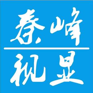 铜川新区秦峰视显电子头像