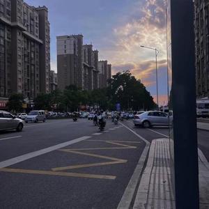 悠闲奥古斯丁2w8头像