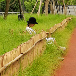 小英姐青红苹果头像