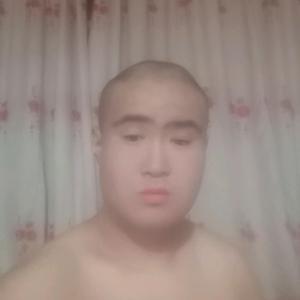 李芝车干头像