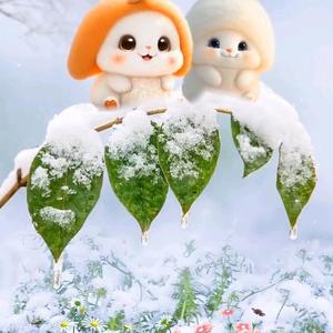 李金栋头像