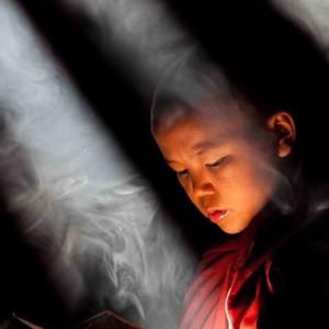 人间无用观察员头像