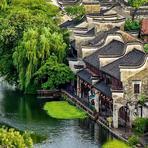 杨癫疯头像