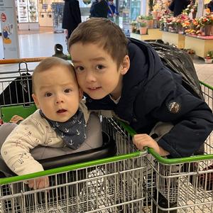 懒猫在德国头像