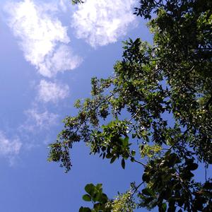 正确与善良 头像