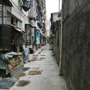 热血青年布雷特9R6头像