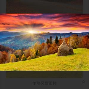 静观月落花开头像