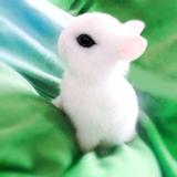 万里暮雪头像
